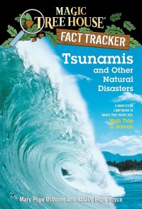 Image of Tsunami and Other Natural disasters