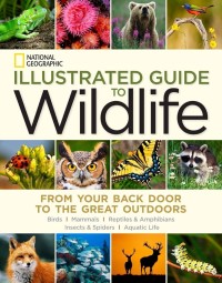 Image of Illustrated Guide to Wildlife