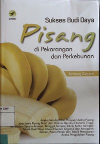 Sukses Budi Daya Pisang di Perkarangan dan Perkebunan