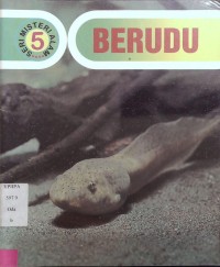 Berudu 5