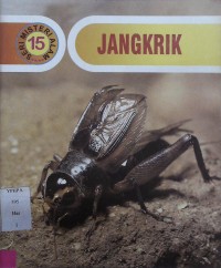 Jangkrik 15