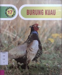 Burung Kuau 17