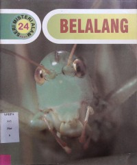 Belalang 24