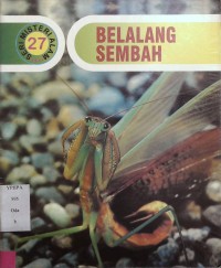 Belalang Sembah 27