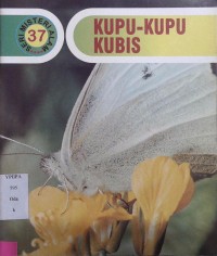 Kupu-Kupu Kubis 37