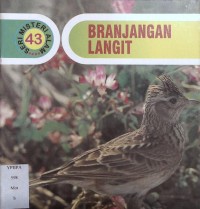 Branjangan Langit 43