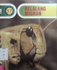 Belalang Migran 57