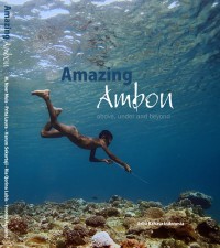 Amazing Ambon Above, Under and Beyond